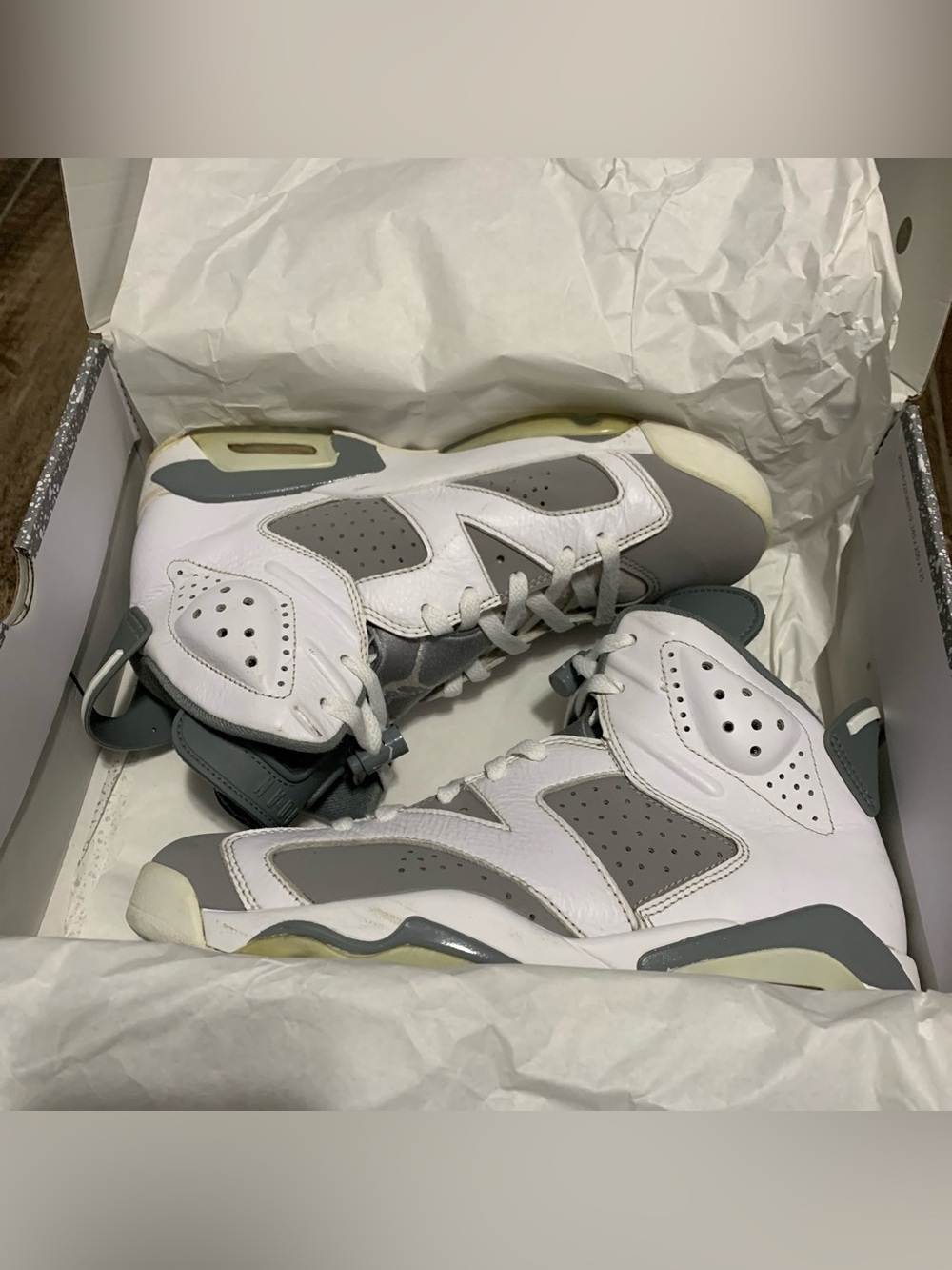 Jordan 6 “cool grey” 2023